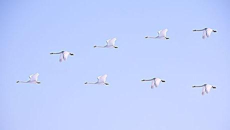 微软和FTC纠缠不休，索尼想要抽身而退